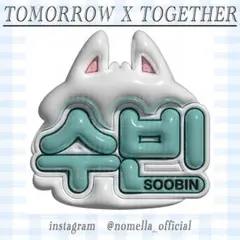 ぷっくりネームボード オーダー TXT スビン