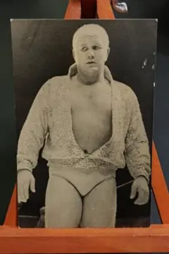 ハーリーレイス直筆サイン Amazon.co.jp: ハーリーレイス直筆サイン : おもちゃ