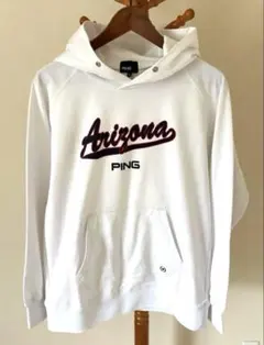 Item thumbnail for item 08bc4fda-01f3-4625-b263-9ca1ea3d9685