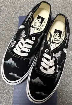 Yusuke Hanai × Vans Premium Authentic 44のサムネイル