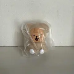 SKZOO ライトマスコット straykids ガチャ パピーム スンミン