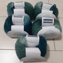 Aurora Wool グラデーション毛糸 約25g　５玉　No.11