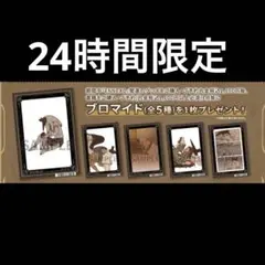 エネアド ENNEAD アニメイト フェア特典 ブロマイド ５枚コンプセット