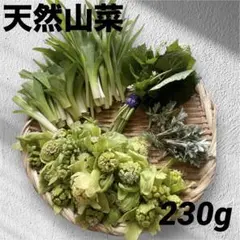 天然山菜　ふきのとう／ヤブカンゾウ／花わさび葉わさび/よもぎ 230g