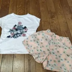 ポール&ジョー トップス