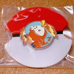 韓国限定!! ポケモンフォレスト ポケモン ランダムバッジ100