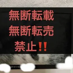 エコー写真　妊娠3ヶ月妊娠初期　8週の分【お値下げ可】