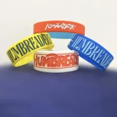 サバシスター JUST PUNK ROCK TOUR ラバーバンド - メルカリ