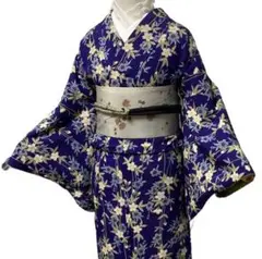 ¨̮⃝ 身丈163 枝垂れ桜 広衿 小紋