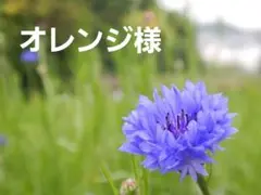 ✨オレンジ様　ご注文商品✨