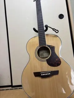 James J-500A OVANAT アコースティックギター ソフトケース付き - メルカリ