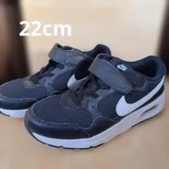 Nike エアマックス スニーカー 22cm