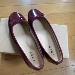 Item thumbnail for item a5d7abce-57ea-452d-99ed-c12a60bf04fd