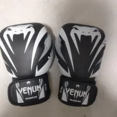 Item thumbnail for item 056e703e-6931-4938-9f5f-88952ef46de7