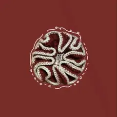 シュシュ ハンドメイド 編み物 かぎ編み かぎ針編み 赤 ベージュ