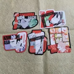 ハイキュー オリジナルカットカード　烏野