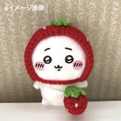 2026年最新】いちご ぬいぐるみ 帽子の人気アイテム - メルカリ