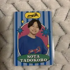 2026年最新】田所蒼大 プロフィールカードの人気アイテム - メルカリ
