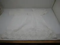 Item thumbnail for item 00b5d763-4fa7-4cde-80a8-acf62eaa7aed