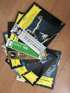 幻の超希少入手困難 栄光のカラヤン大全集CD145枚組別冊解説書付