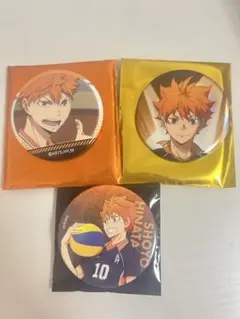 2026年最新】日向翔陽 横断幕 缶バッジの人気アイテム - メルカリ