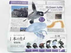 05 アオウミガメ　日本のカメ　特装版　ネイチャーテクニカラー　いきもん