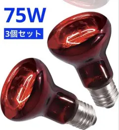 Item thumbnail for item 87c8b159-d53f-4ed7-9d0f-c9d32b7c2a79