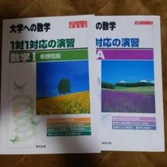 naoki様専用 1対1対応の演習 1A 2冊 + 数学IIIスタンダード演習