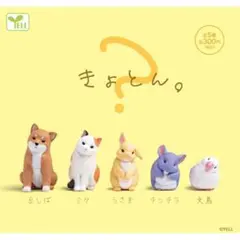 2026年最新】カプセル豆しばの人気アイテム - メルカリ