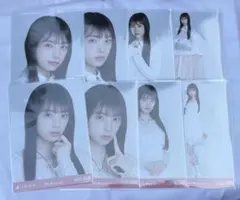 乃木坂46 生写真　新参者　8種コンプ　 6期生special 矢田萌華