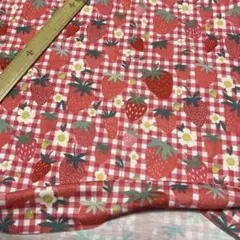 ルイノワラン様 リクエスト 2点 まとめ商品