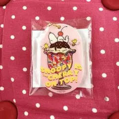 スヌーピー シャカシャカキーホルダー　ソニプラ限定　新品未開封