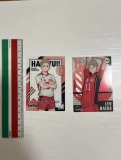 【ハイキュー】ウエハースカード 夜久衛輔 灰羽リエーフ