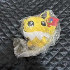 最終価格！　ポケモンセンター　もっちりマスコット　ポケモンドールズ　サンダースのサムネイル