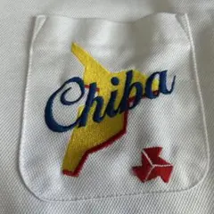 Item thumbnail for item 498a4d13-9c3d-40a1-ab85-9876ce848f0b