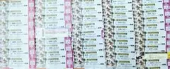 阪神タイガース　使用済みチケットのサムネイル