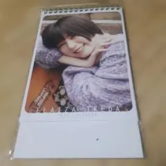 2025年最新】池田エライザカレンダーの人気アイテム - メルカリ