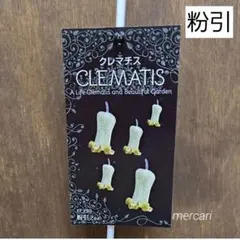 壺型クレマチス 綿雪 正規品ラベル付き ポット苗 - メルカリ