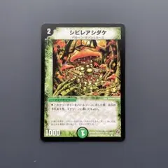 2026年最新】シビレアシダケ プロモの人気アイテム - メルカリ