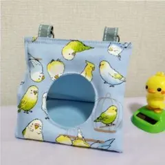 작은 새를 위한 새 텐트, 잉꼬 패턴