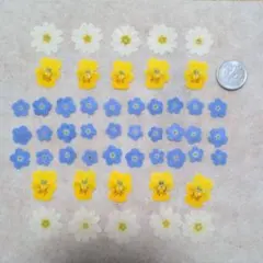 kutaro-様 リクエスト 2点 まとめ商品