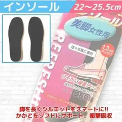 新品 シークレット インソール 1.3cm レディース 22～25.5 1足