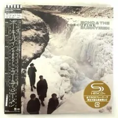 新品 エコー＆ザ・バニーメン オーシャン・レイン 紙ジャケット SHM-CD