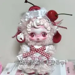 POPMARTスカルパンダ インプレッショニズム チェリー着せ替え服 2点セット