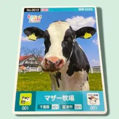 マザー牧場　ロゲットカード　No.0012 関東0005　第1弾　千葉県　富津市