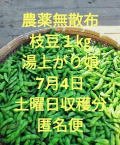 62 300キロ限定大セール 訳あり品 枝豆 湯上がり娘 2キロ 有機肥料 #8 300キロ限定大セール訳あり品 枝豆 湯上がり娘15キロ有機肥料