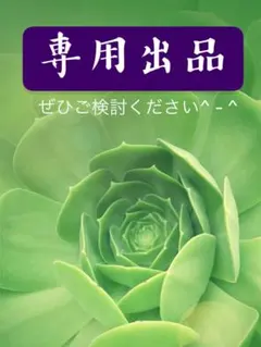 ⭐️専用出品