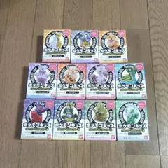 ポケモンキッズ メガミュウツーX&メガミュウツーY編 全11種 コンプリート