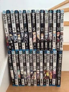 D.Gray-man 1〜29巻　全巻セットと灰色ノ聖櫃
