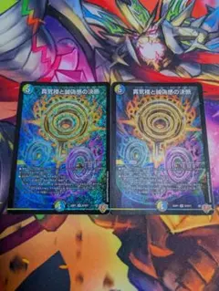 メルカリ便　真気楼と誠偽感の決断 4枚 メルカリ便 真気楼と誠偽感の決断 4枚